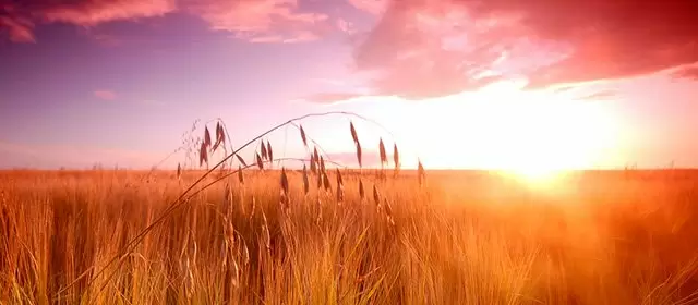 Horoskop na marzec 2027